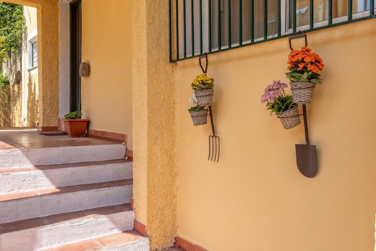 Verde E Mare Villa & Apartment Tsilivi  Eksteriør billede